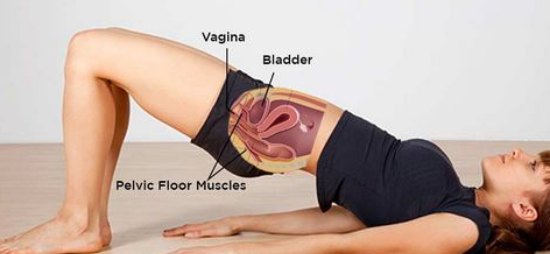 What Are Pelvic Floor Exercise And Its Different Types