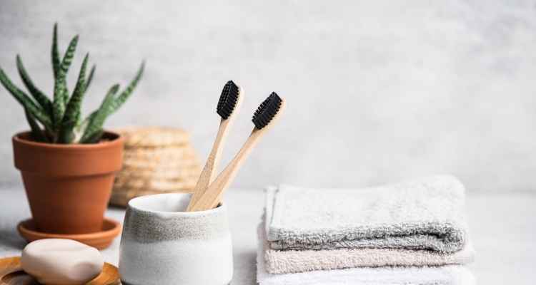 Benefits of Charcoal Toothbrushes