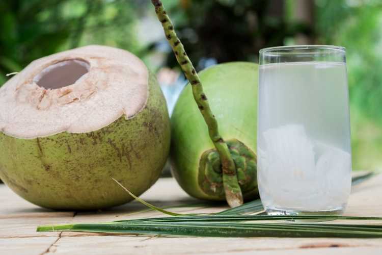 Health Benefits Of Coconut Water