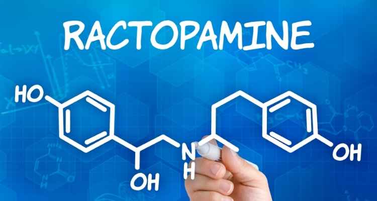 All You Need to Know About Ractopamine