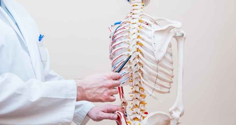4 Reasons Why Knowing Your Body Anatomy Is Vital for Your Health