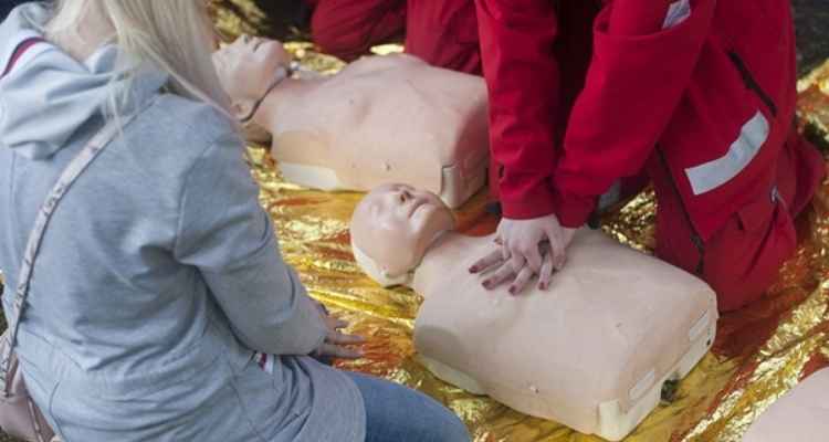 Role and Importance of Basic Life Support Providers in Healthcare