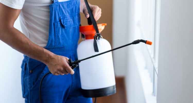 How to Detect Infestation of Rodents on Your Property