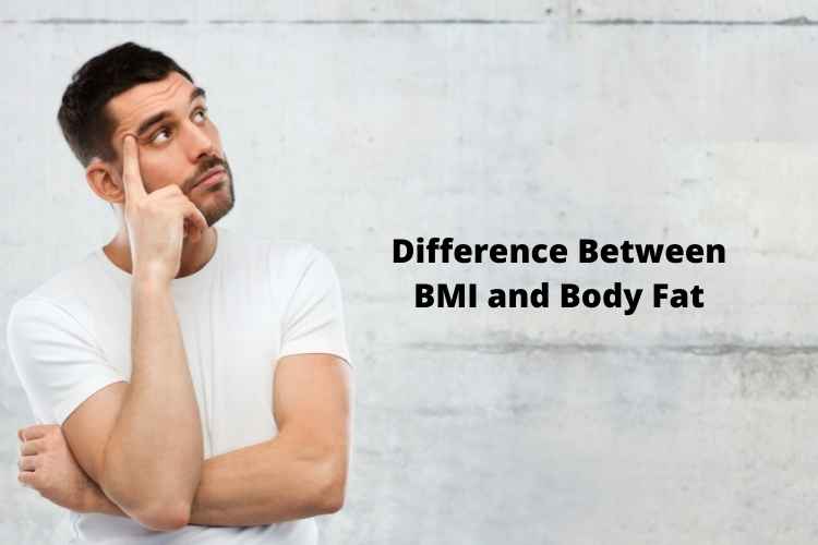 Difference Between BMI and Body Fat