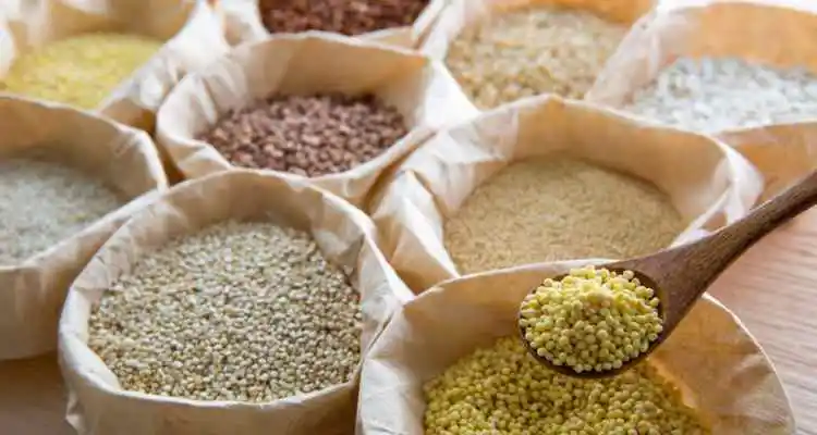 https://healthmenza.com/kutki-millet-the-ancient-grain-offering-modern-health-solutions/