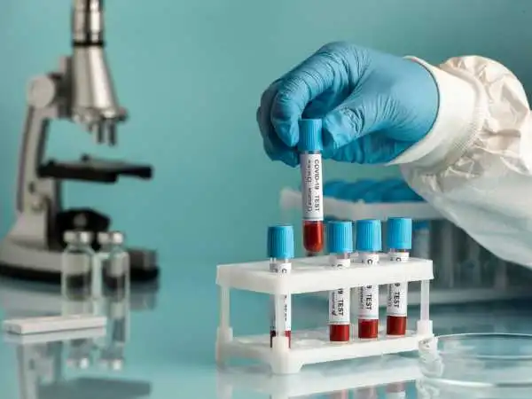 Enhancing User Experience Through Effective Usability Lab Tests