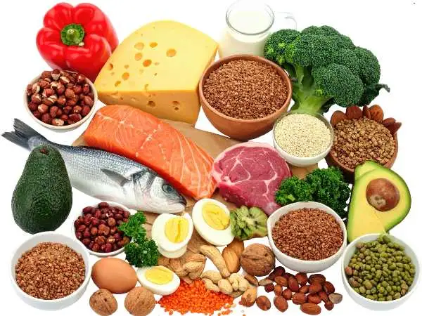 Veg Protein Rich Food