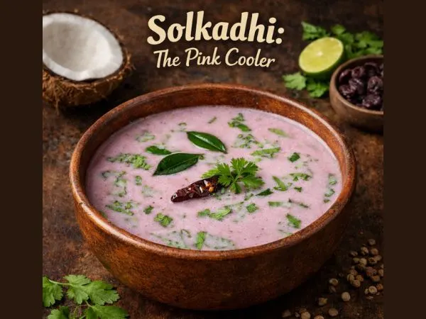 Solkadhi in rustic terracotta bowl
