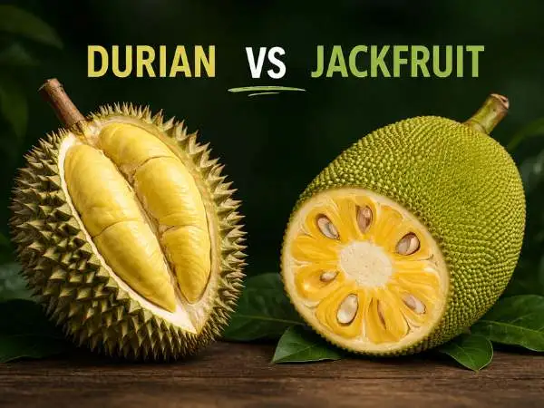 Durian vs Jackfruit